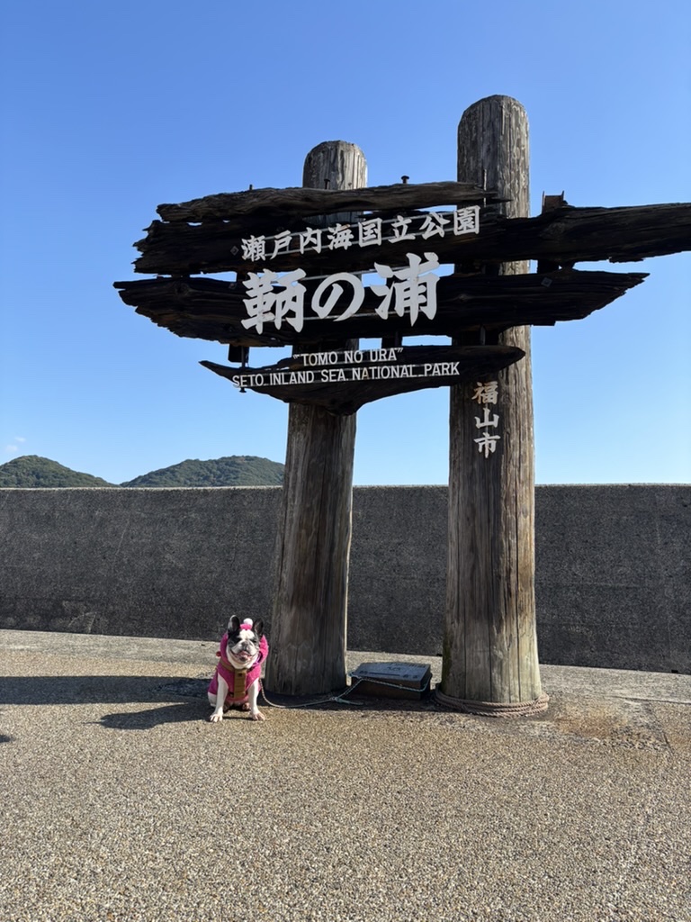 鞆の浦の記録写真 3
